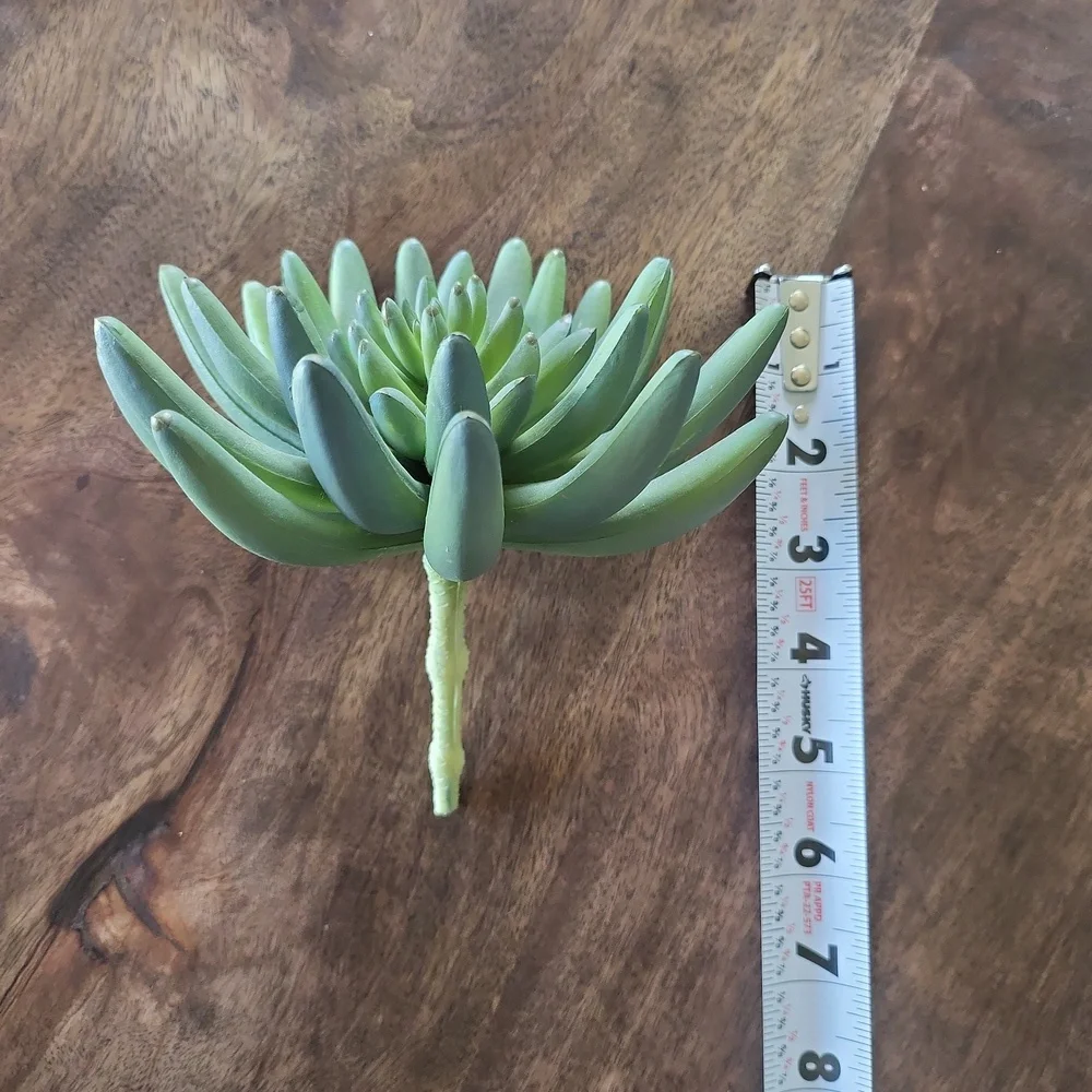 Faux Succulent Plant